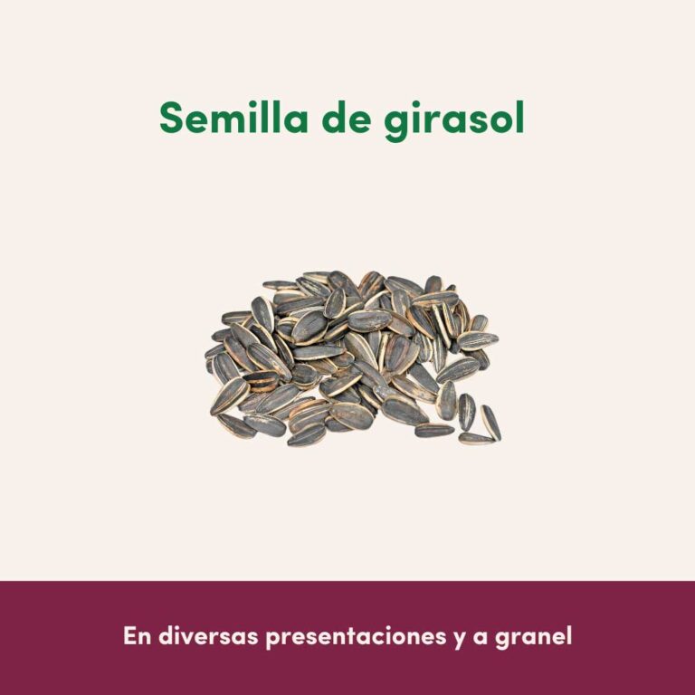 Venta de semilla de girasol al Mayoreo - empacadora el fresno