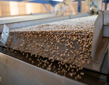 DSC7808 - Empacadora El Fresno