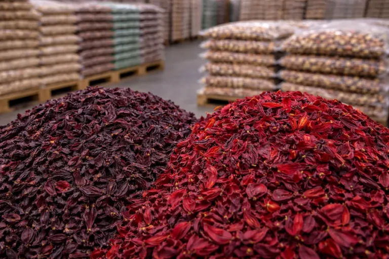 Flor de jamaica nacional e importada en proceso industrial dentro de bodega mayorista