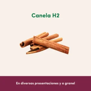 Canela H2 por mayoreo con ramas largas y corte limpio